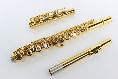 Professional Flute Musical Instrument With Case